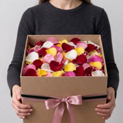 Разные лепестки роз